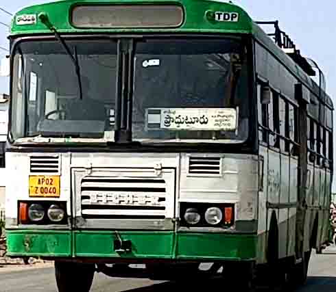 Tadipatri-to-Proddatur-Pallevelugu-Bus-Details